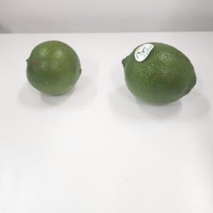 Lime 10Lb 2