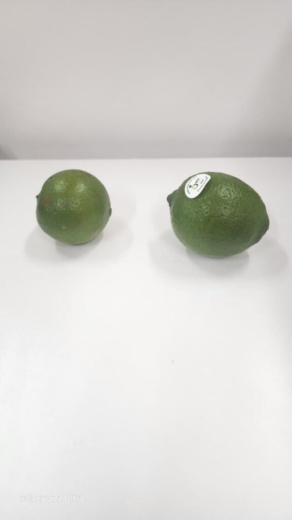 Lime 10Lb 2