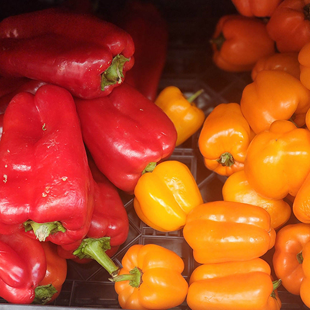 Pepper Ata Rodo