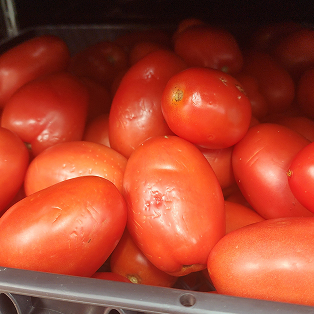 Tomatoes