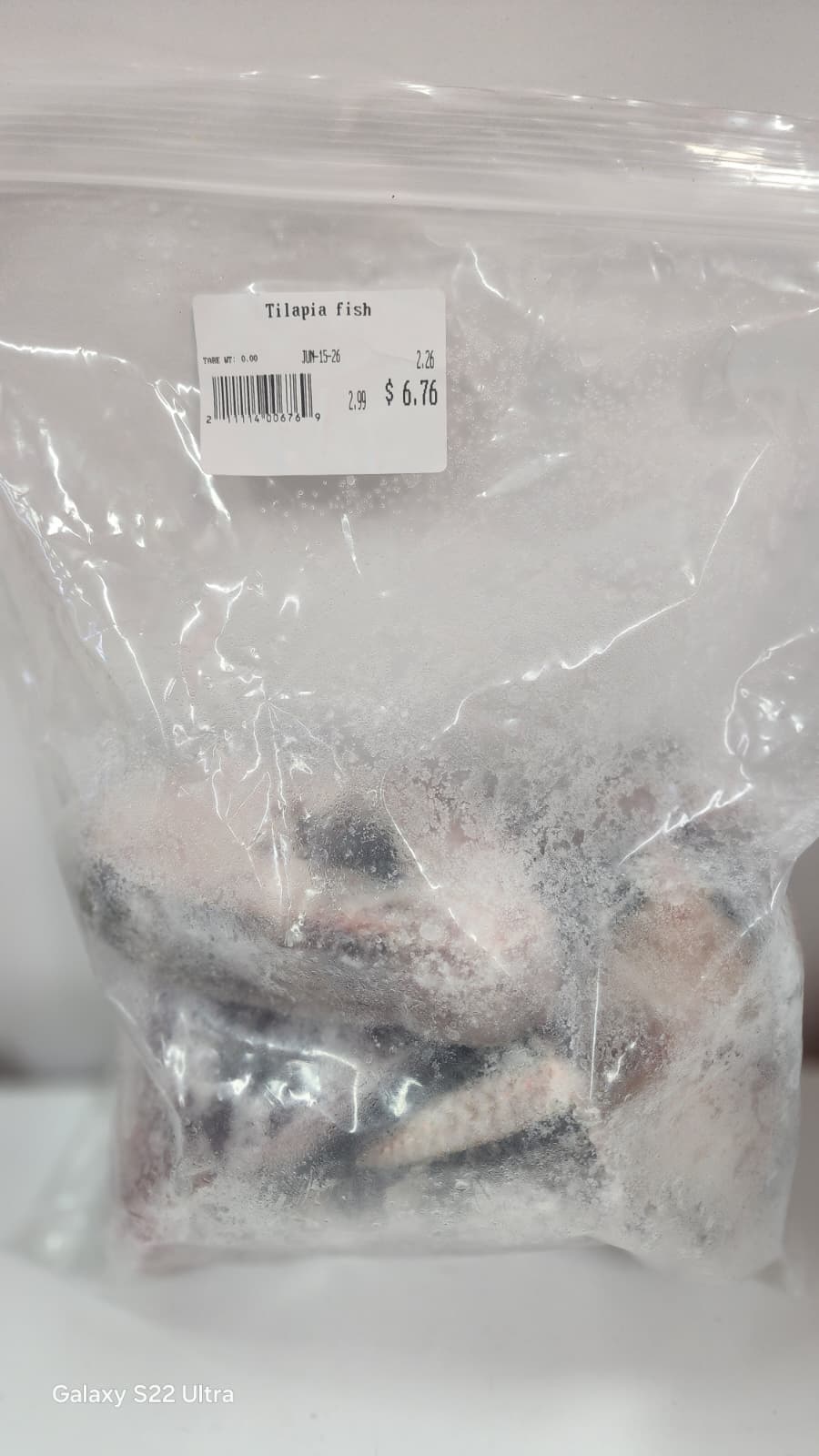 Tilapia