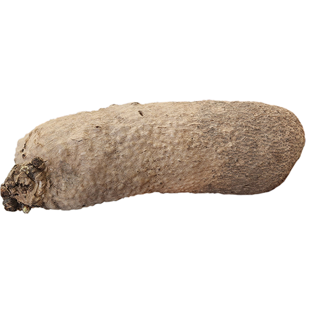 Yam Fresh Yams